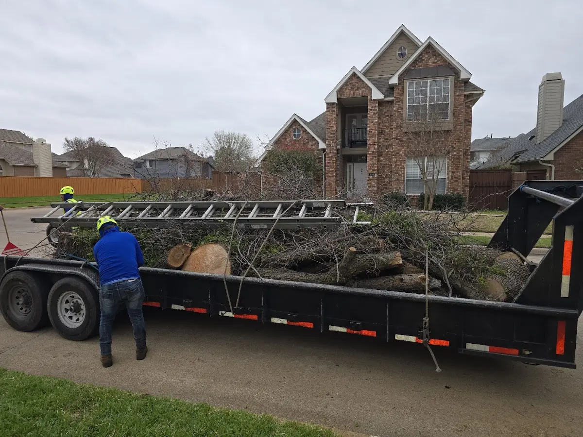 Expert Tree Removal with proper safety equipment in Fish Camp